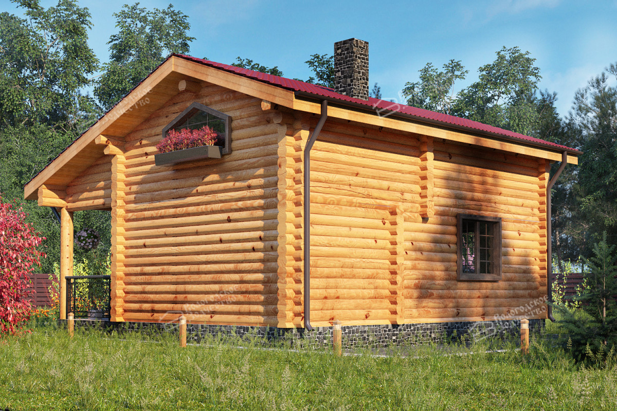 Image 2